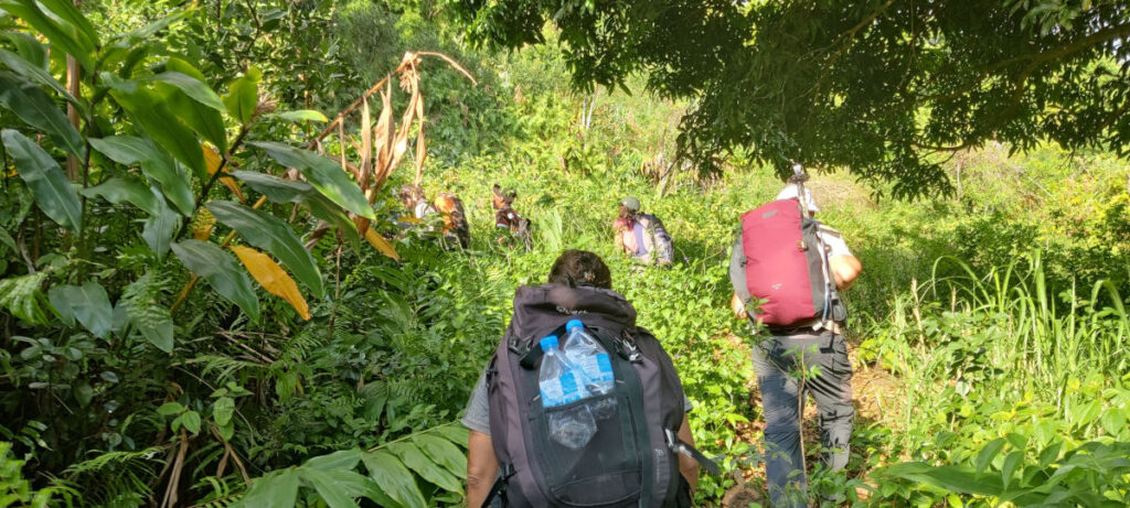 Participants de la mission test de la Traversée du Karthala progressant dans la végétation tropicale vers Nyumbadjou