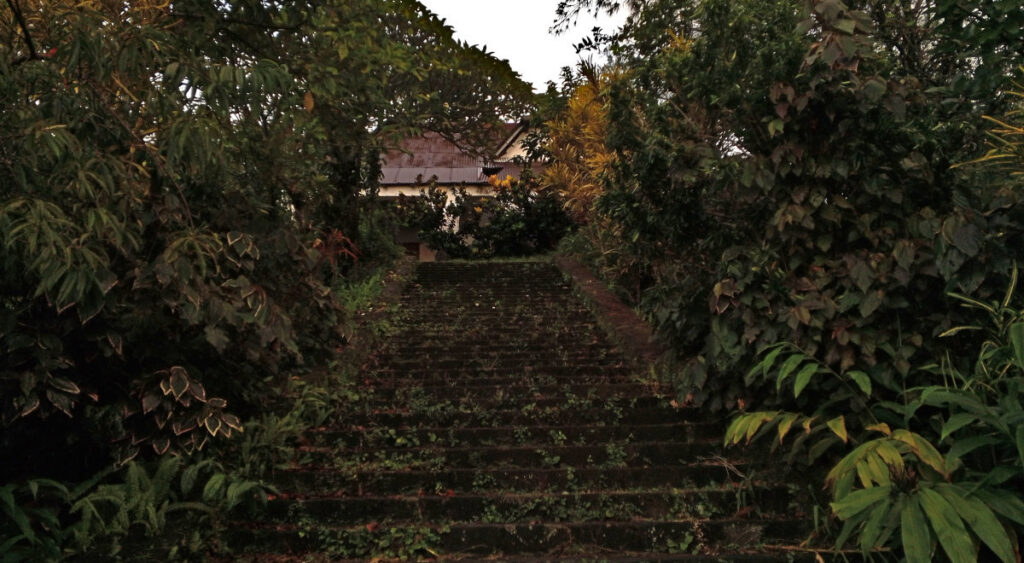 Escalier menant à la Maison Humblot au cœur de la forêt tropicale de Nyumbadjou à Grande Comore