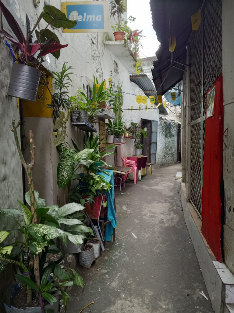 Ruelle fleurie de la médina de Mutsamudu à Anjouan dans les îles Comores