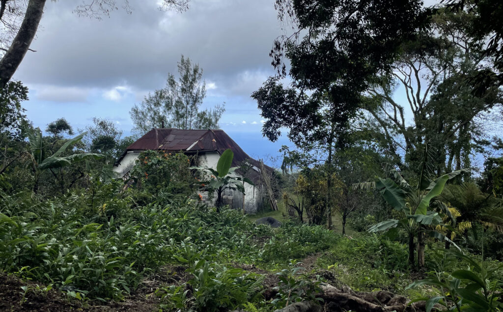Maison Humblot entourée de végétation tropicale dans les hauteurs de Nyumbadjou à Grande Comore