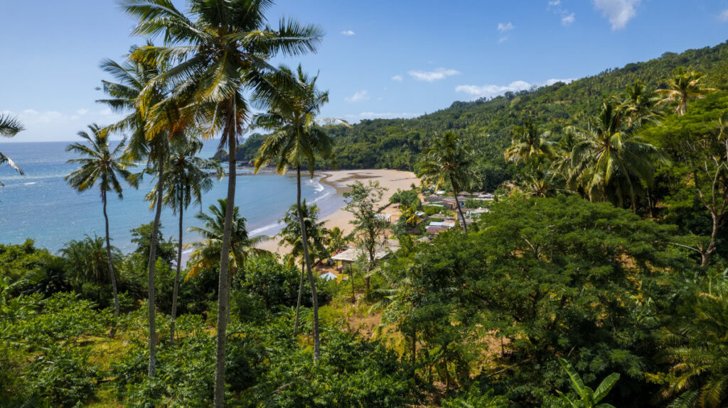 Plage tropicale bordée de cocotiers sur l'île de Mohéli aux Comores
