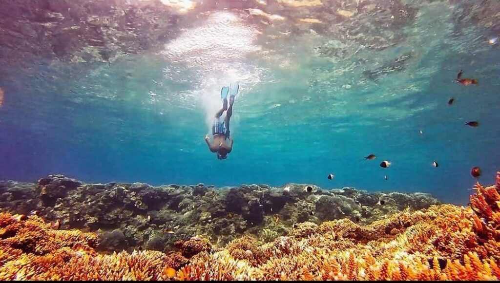 Raya Reef